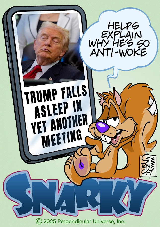 Cartoon of Snarky Squirrel scrolling on his phone. The phone shows a photo of Trump sleeping in the Oval Office during a meeting. Below the photo, also on the phone screen, is the headline “TRUMP FALLS ASLEEP IN YET ANOTHER MEETING”.  Snarky comments in a word balloon: “Helps explain why he’s so anti-woke”