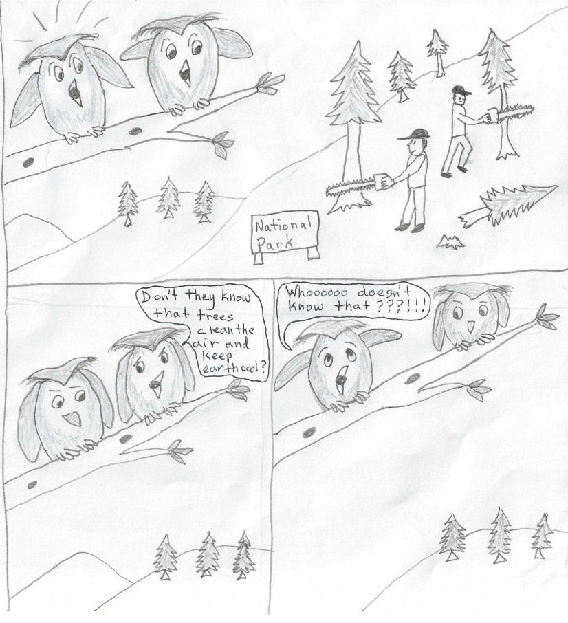 A 3-panel cartoon. In the first panel, two owls sitting on a tree branch in a National Park are watching in alarm as trees are being cut down by two workers with chainsaws. In the second panel, one owl says to the other, "Don't they know that trees clean the air and keep earth cool?" In the third panel, the other owl responds, "Whooooo doesn't know that???!!!"